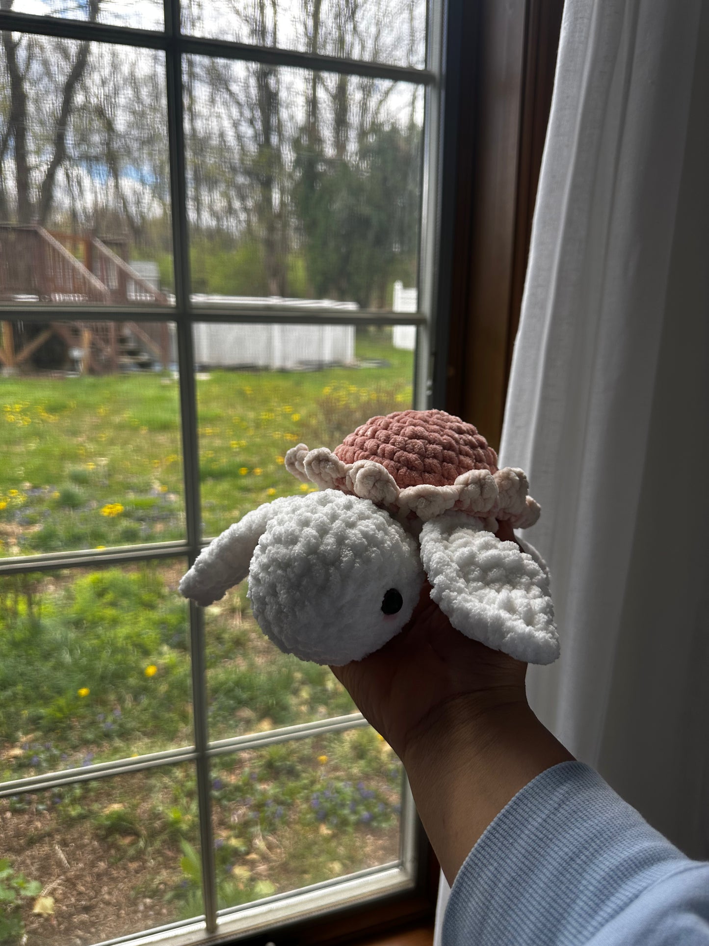 Bloomie Turtles