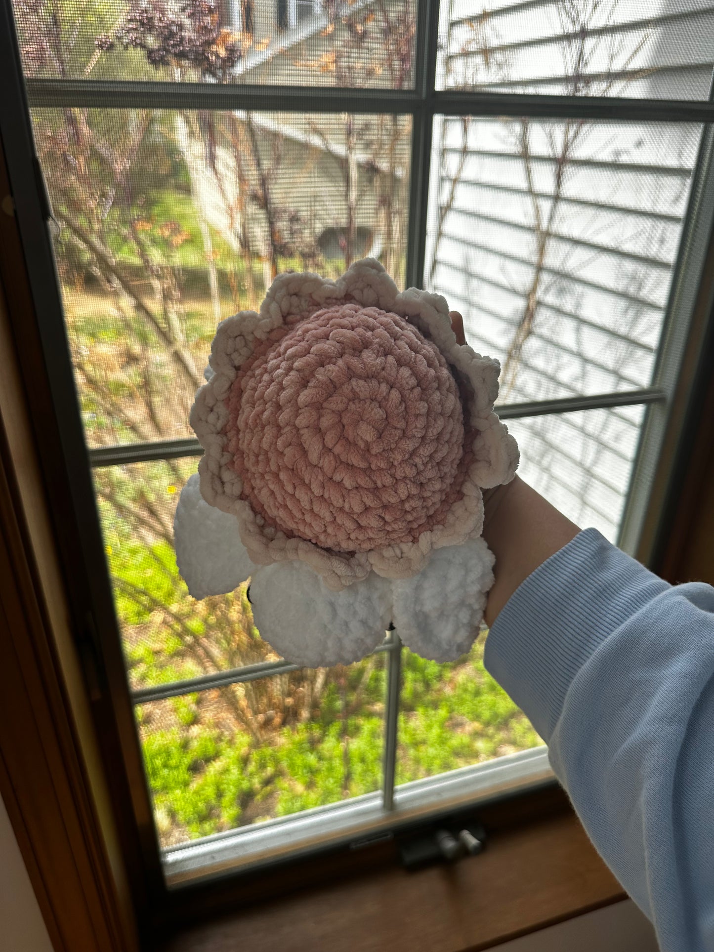 Bloomie Turtles