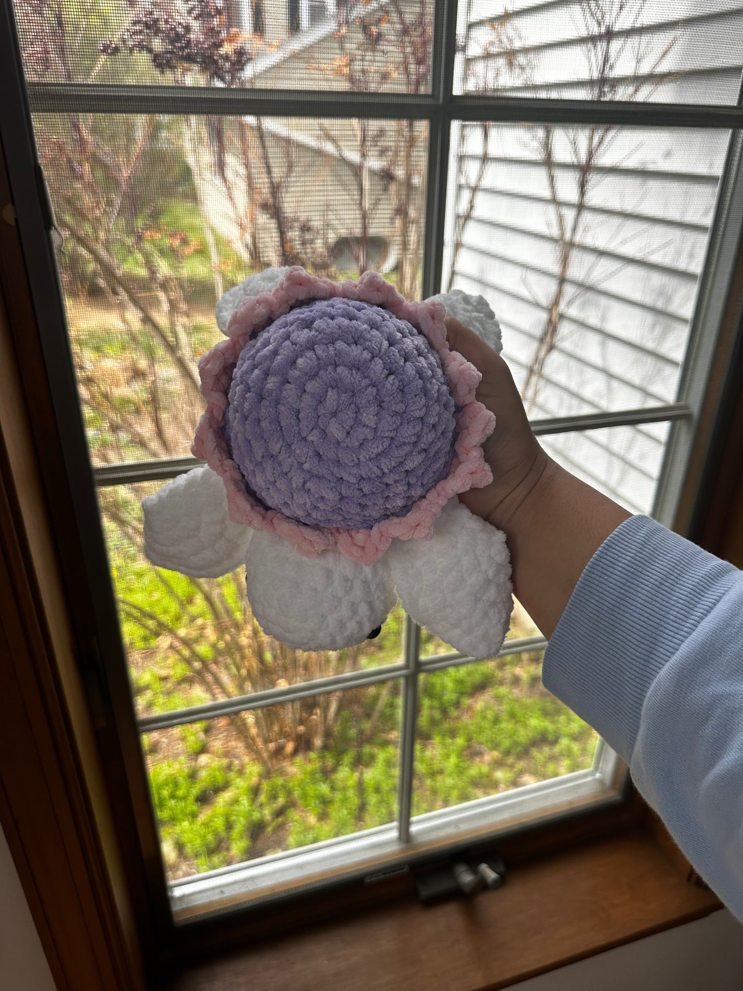 Bloomie Turtles
