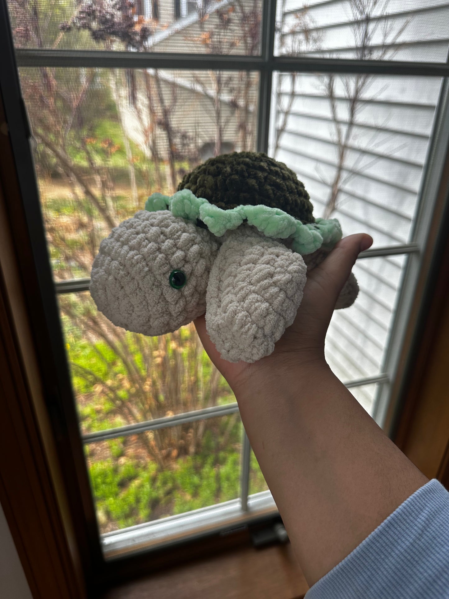 Bloomie Turtles