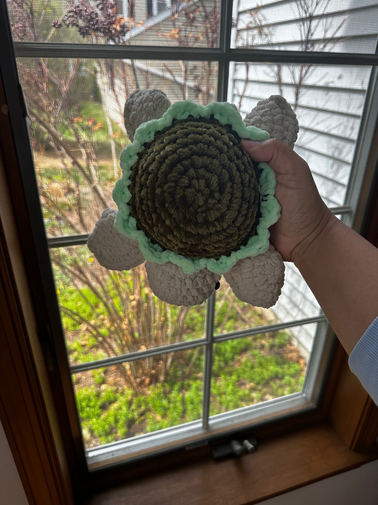 Bloomie Turtles