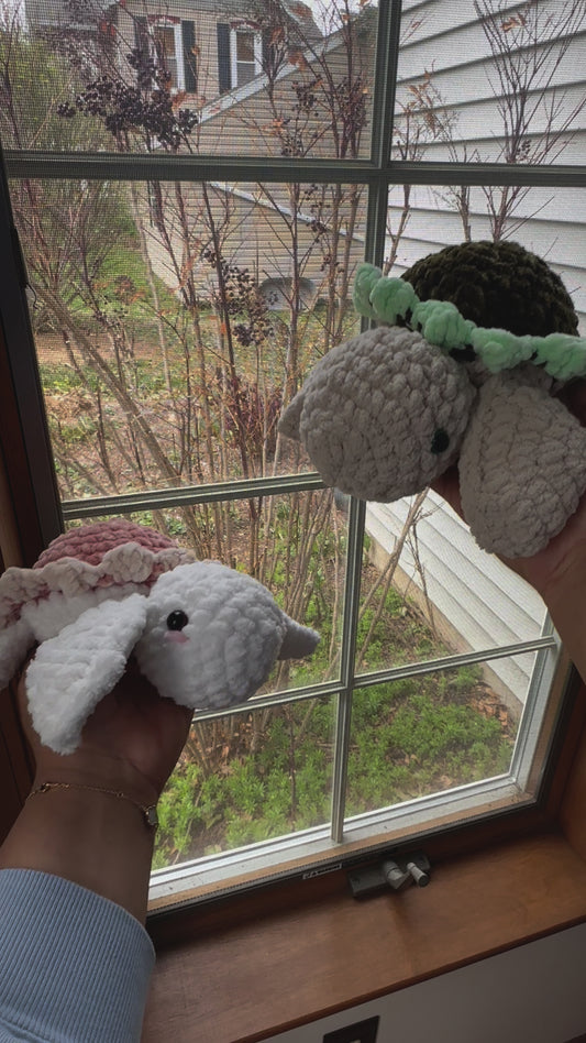 Bloomie Turtles